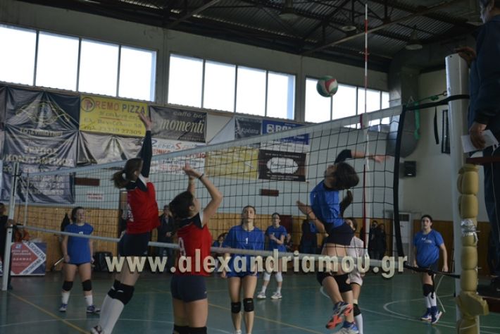 voley_1o_2o117