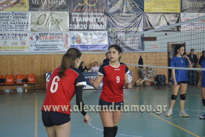 voley_1o_2o118