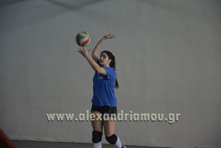 voley_1o_2o119