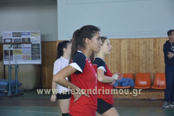 voley_1o_2o122