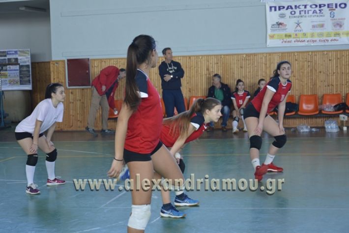 voley_1o_2o123