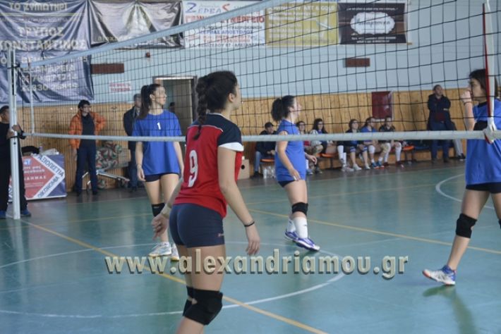 voley_1o_2o124