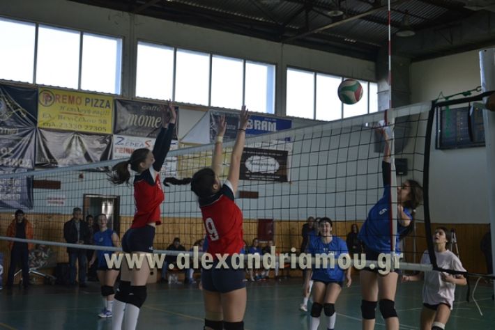 voley_1o_2o127