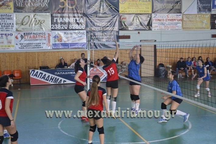 voley_1o_2o129