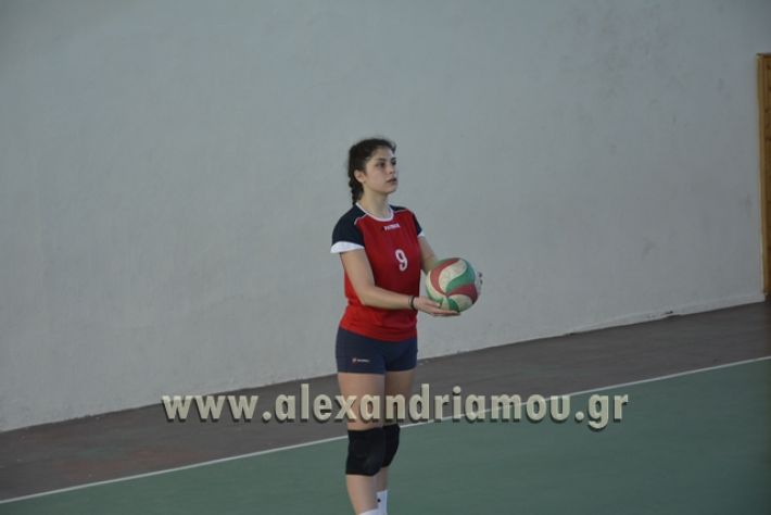 voley_1o_2o130