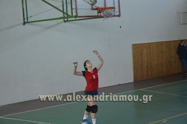 voley_1o_2o131