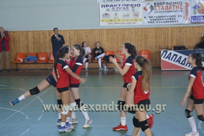 voley_1o_2o132