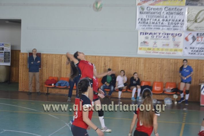 voley_1o_2o136