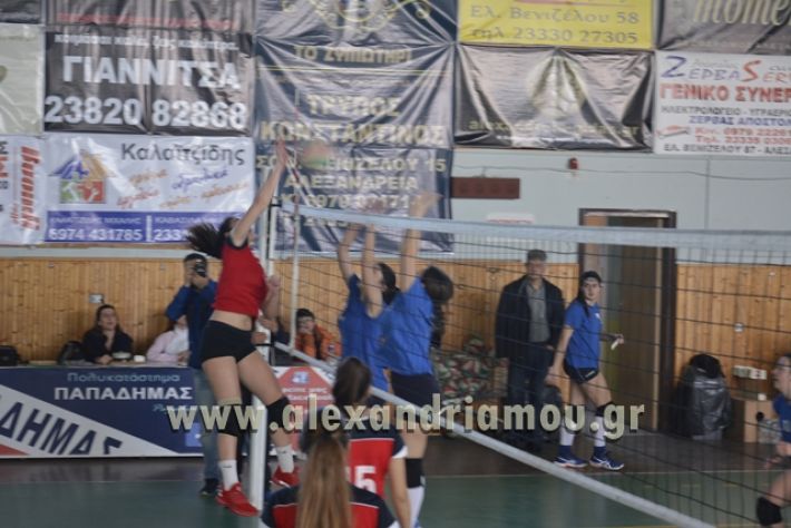 voley_1o_2o138