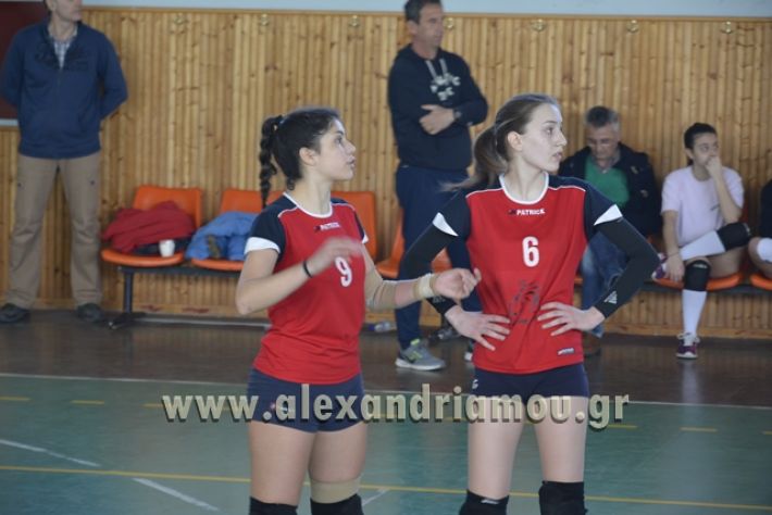 voley_1o_2o139