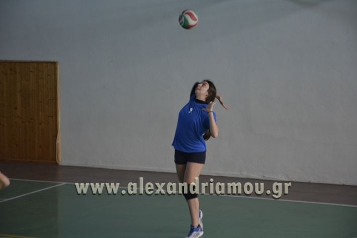 voley_1o_2o141