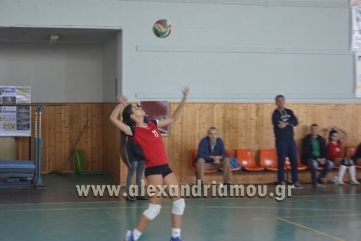 voley_1o_2o147