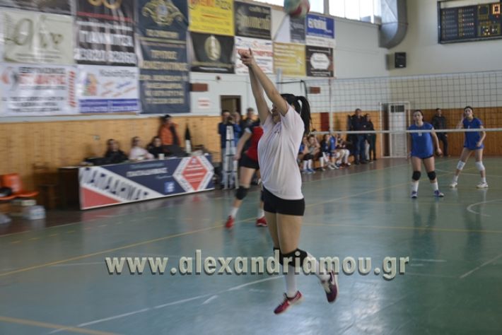 voley_1o_2o154