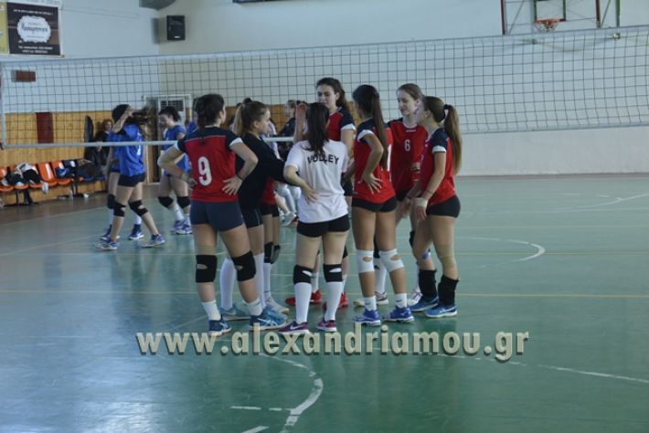 voley_1o_2o156