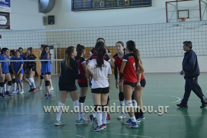 voley_1o_2o157