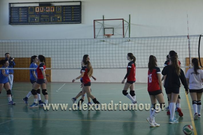 voley_1o_2o158