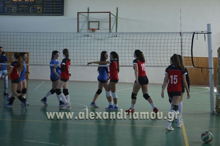 voley_1o_2o159