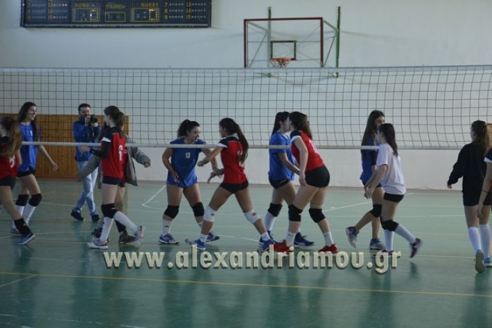 voley_1o_2o160