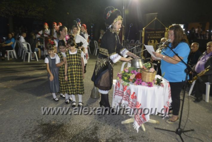 alexandriamou.gr_vrisai20181082