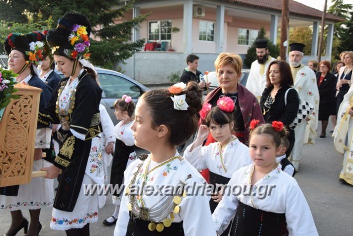 alexandriamou.gr_vrisaki_perifora12020