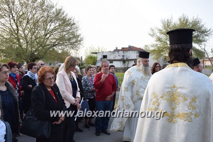 alexandriamou.gr_vrisaki_perifora12046