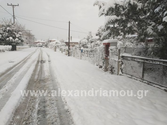 alexandiamou.gr_xionia05.01.19IMG_20190105_082159