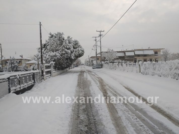 alexandiamou.gr_xionia05.01.19IMG_20190105_082203