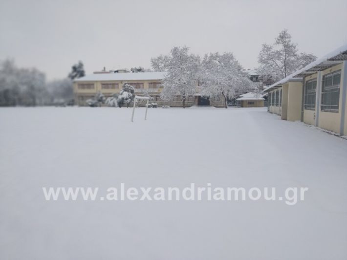 alexandiamou.gr_xionia05.01.19IMG_20190105_083207