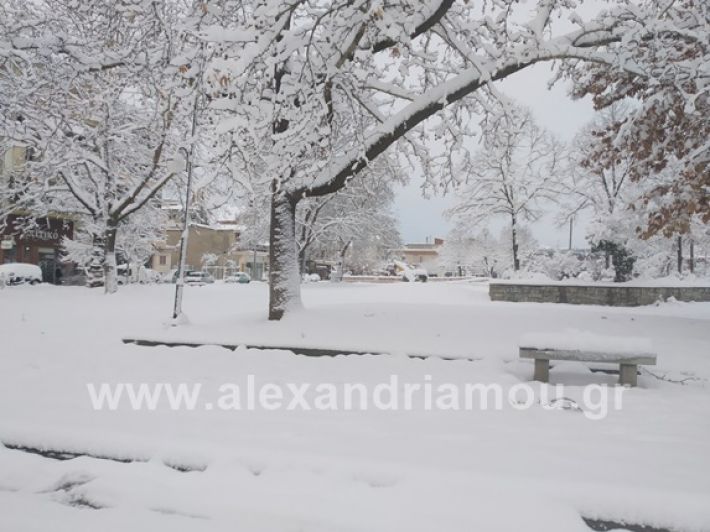 alexandiamou.gr_xionia05.01.19IMG_20190105_084102