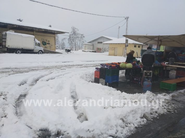 alexandiamou.gr_xionia05.01.19IMG_20190105_084417