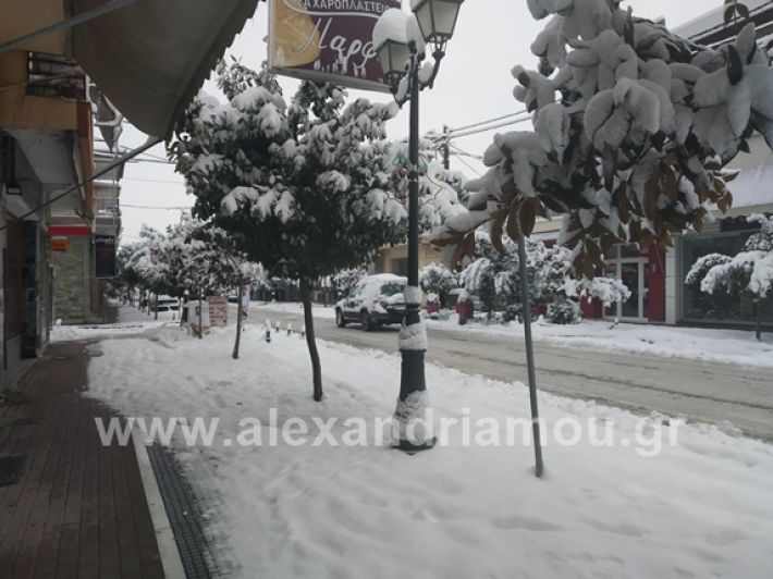 alexandiamou.gr_xionia05.01.19IMG_20190105_084938