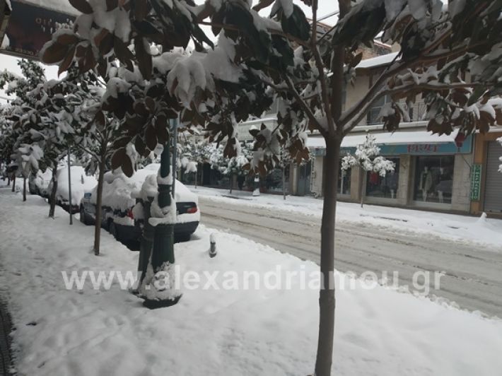 alexandiamou.gr_xionia05.01.19IMG_20190105_085003