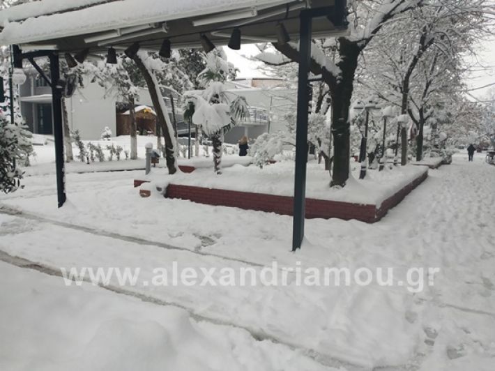 alexandiamou.gr_xionia05.01.19IMG_20190105_085711