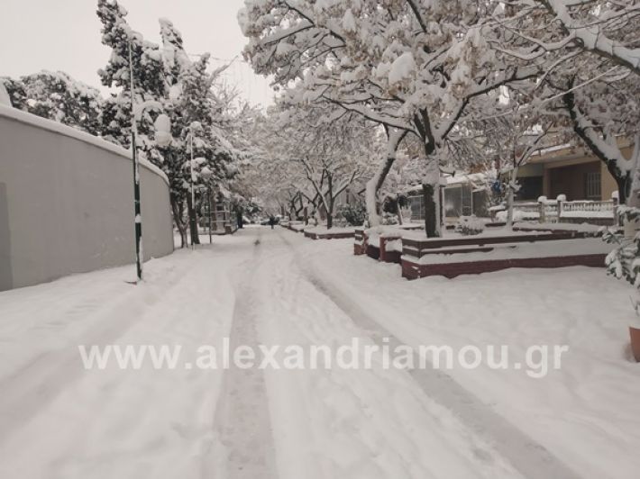 alexandiamou.gr_xionia05.01.19IMG_20190105_085814