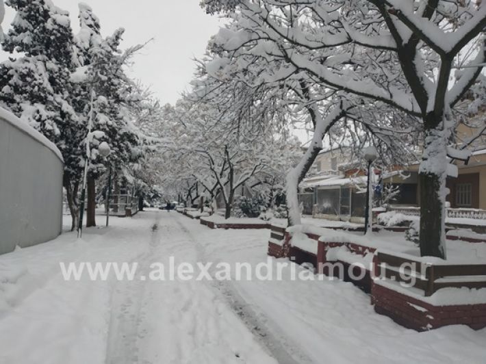 alexandiamou.gr_xionia05.01.19IMG_20190105_085818