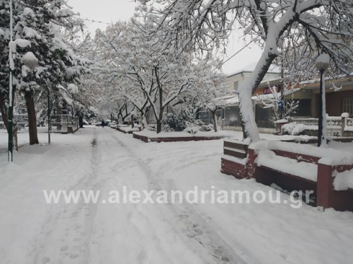 alexandiamou.gr_xionia05.01.19IMG_20190105_085821