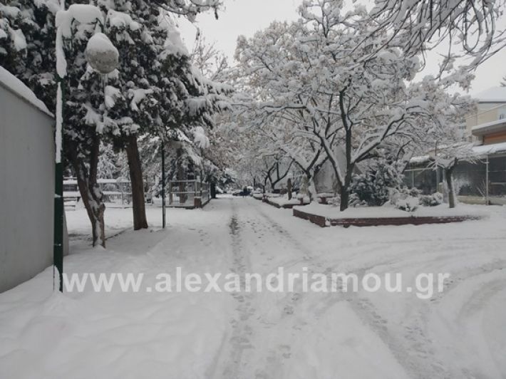 alexandiamou.gr_xionia05.01.19IMG_20190105_085823