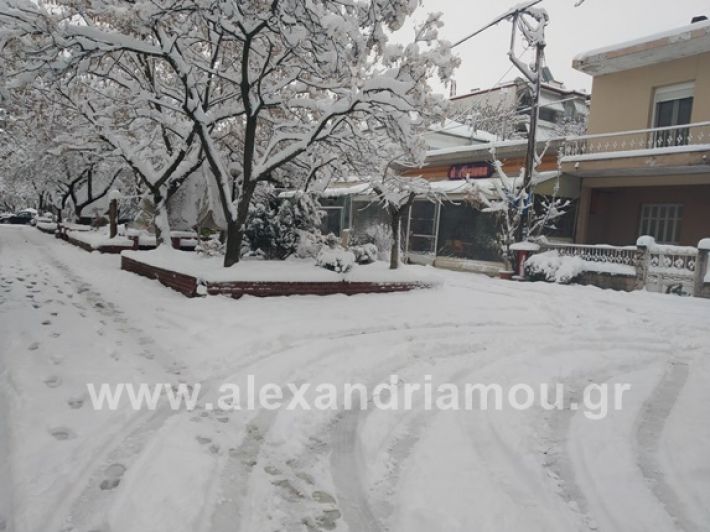 alexandiamou.gr_xionia05.01.19IMG_20190105_085826