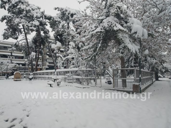 alexandiamou.gr_xionia05.01.19IMG_20190105_085835