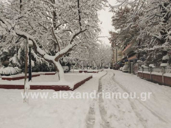 alexandiamou.gr_xionia05.01.19IMG_20190105_085943