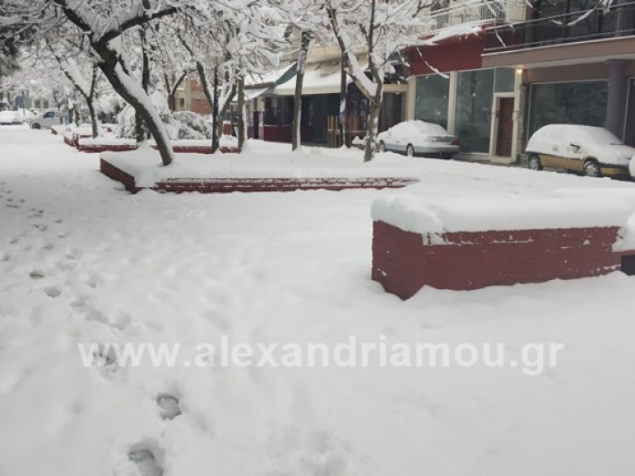 alexandiamou.gr_xionia05.01.19IMG_20190105_090046