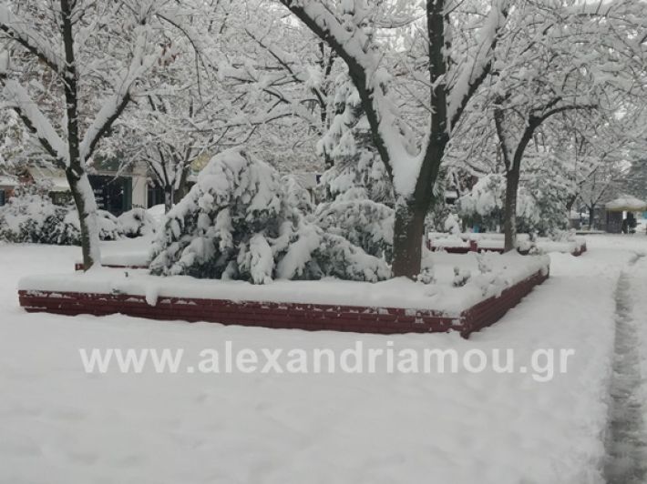 alexandiamou.gr_xionia05.01.19IMG_20190105_090106