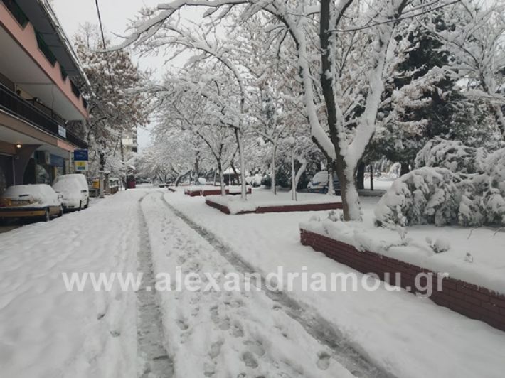 alexandiamou.gr_xionia05.01.19IMG_20190105_090124