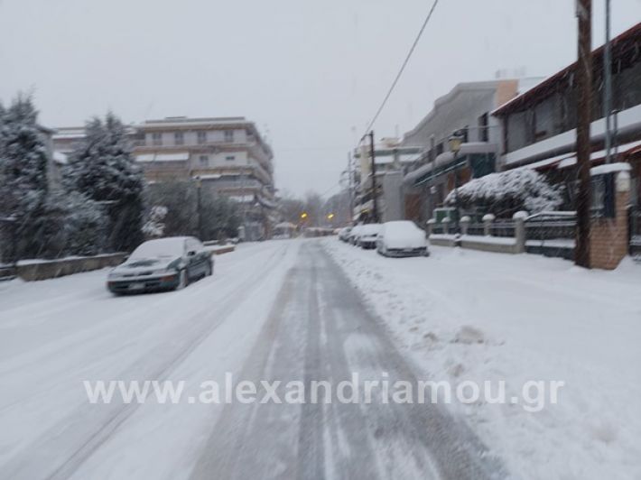 www.alexandriamou.gr_xioni47112Ν149543544_355562305425299_7679579241839510573_n