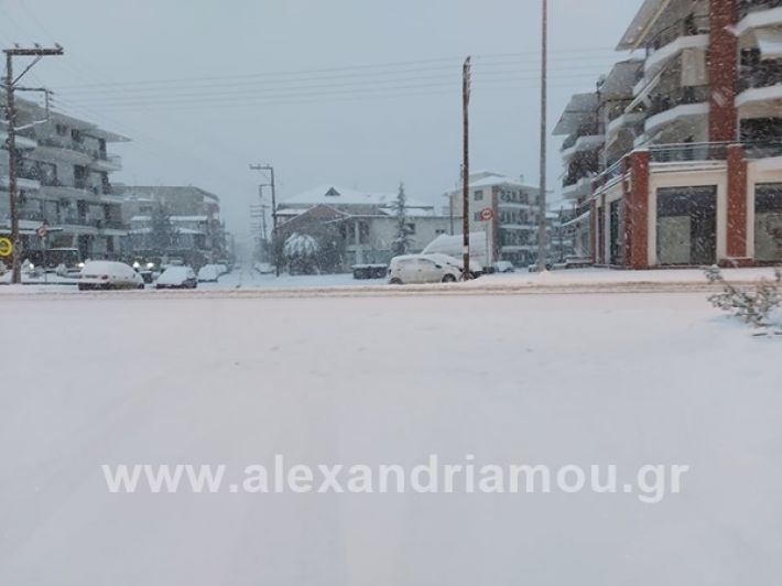 www.alexandriamou.gr_xioni47112Ν149794866_770442413678036_3761860129176252452_n