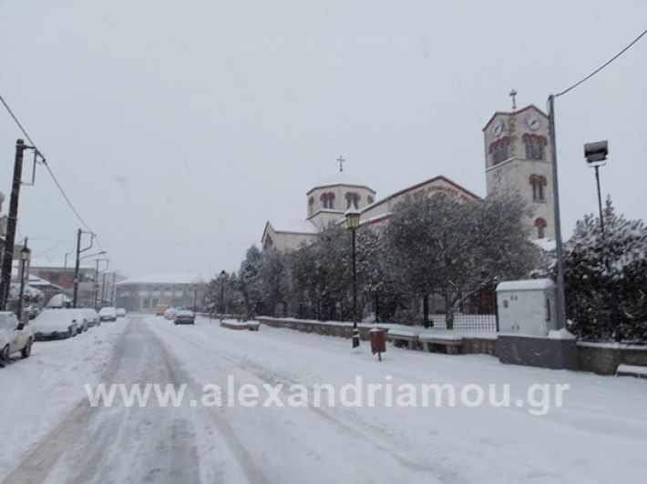 www.alexandriamou.gr_xioni47112Ν150177572_421351692287117_7470605943190903622_n