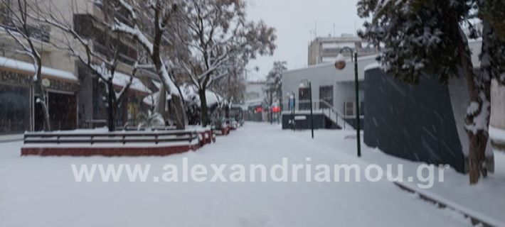 www.alexandriamou.gr_xionia202020147149543544_896909470883422_2836103740566633228_n