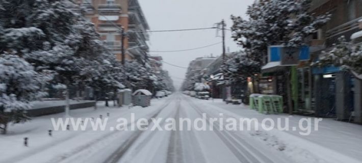 www.alexandriamou.gr_xionia202020147149605403_751389785483802_8666813600550565799_n