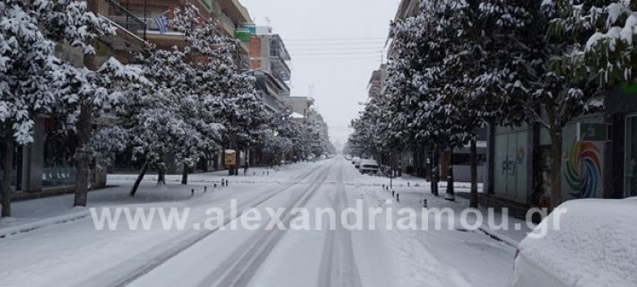 www.alexandriamou.gr_xionia202020147149660552_124248196252569_6859694781328732396_n