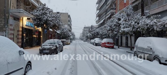 www.alexandriamou.gr_xionia202020147149775245_259967082369043_2427431068419474809_n